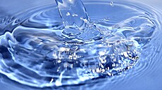 ilustra�ní snímek