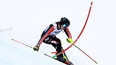 Kanadská ly�a�ka Laurence St-Germainová na MS v Saalbachu