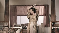 Barbara Luke�ová v p�edstavení Cesta dlouhým dnem do noci