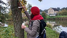 Nová turistická trasa z Val�e povede p�e� Je�e�, Naho�e�ice, Jizerský vrch a�...