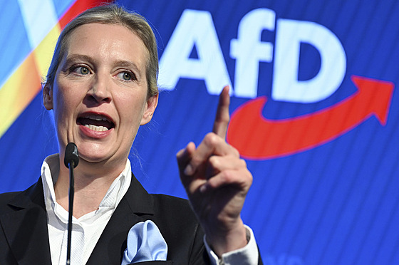 Alice Weidelová ve tábu AfD (23. února 2025)
