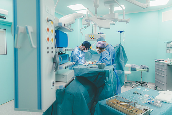 Rychlý návrat �tíhlé postavy