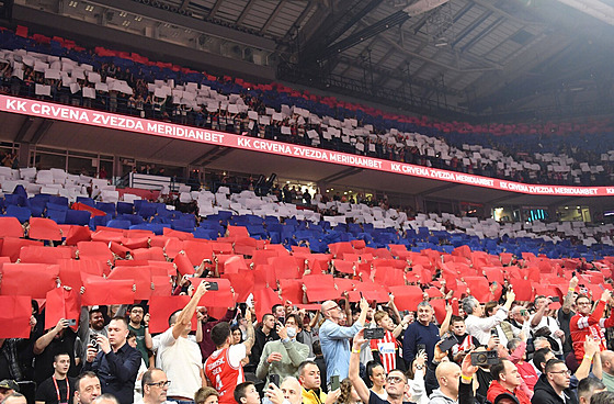 Fanouci Crvene zvezdy Blehrad si ped zápasem se algirisem pipravili choreo...