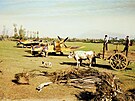 Britské letouny Supermarine Spitfire Mk. IX ze 232. perut RAF na polním...