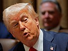 Americký prezident Donald Trump poádá první zasedání svého kabinetu v Bílém...