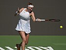 Petra Kvitová hraje forhend v prvním kole turnaje v Austinu.