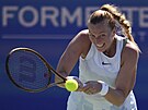 Petra Kvitová hraje bekhend na turnaji v Austinu.