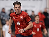 Louis Thomas Buffon, syn legendárního italského brankáe Gianluigiho Buffona a...