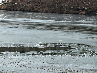 Na rybníku Aloisov v parku uprost�ed pra�ského sídli�t� �erný Most se pod dv�ma...