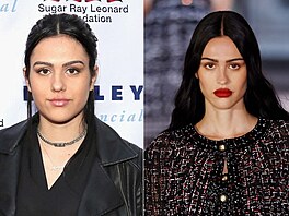 Amelia Gray Hamlinová