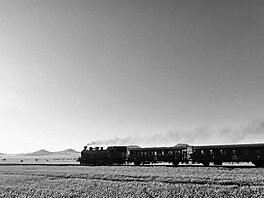 �vestková dráha v roce 2024