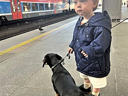 Nikam nepojede, u� se narajzoval dost! Nejmlad�í z rodu se chystají na první...