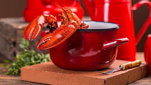 Velká humrová loupež. V USA řeší krádež korýšů za osm milionů korun