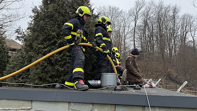 Vedle o�et�ovatel� dozorovali prvn� setk�n� dvou samc� medv�d� u�at�ch v ostravsk� zoo tak� hasi�i p�ipraven� rozohn�n� medv�dy rozehnat vodou. (27. �nora 2025)