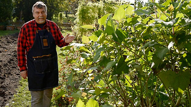 Zahradn�k Roman Kv�� p�edstavil jakon, kter� p�stuj� na zahrad� z�mku Ka�ina. 