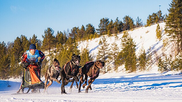 Musher Ji Such si se svou ps tykou nakonec pijel pro nepopulrn bramborovou medaili.