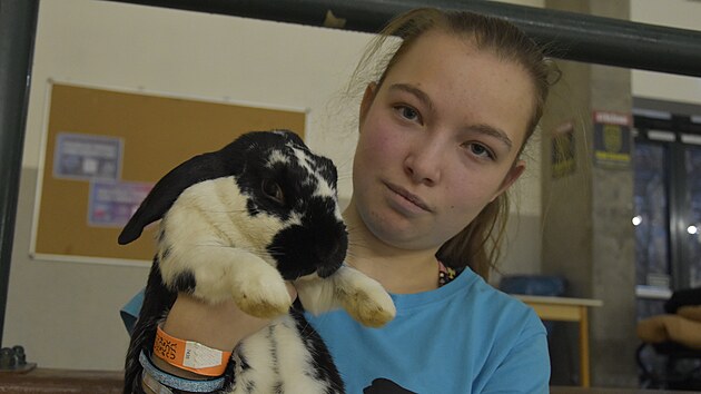 Ad�la Ma�kov� se ��astnila kvalifikace na Mistrovstv� �esk� republiky v kr�li��m hopu. To se uskute�nilo minul� v�kend v Plzni. Na sn�mku je se sv�m kr�l�kem jm�nem Lewi. (15. �nora 2025)