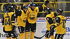 Hokejisté Litvínova oslavují gól.