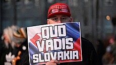 Protivldn demonstrace v Bratislav. (21. nora 2025)