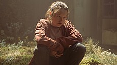 Ze seriálu Last of Us