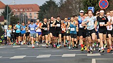 Becký závod Kbelská 10 tradin startuje atletickou sezonu v esku.