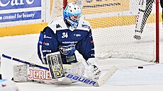 P�ekonaný branká� Michal Postava v brance Komety Brno. Gól inkasoval od...