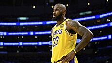 LeBron James z LA Lakers bhem zápasu s Charlotte Hornets.