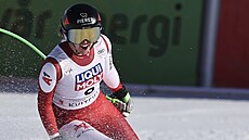 Rakouská lyaka Cornelia Hütterová slaví po sjezdu Svtového poháru v...