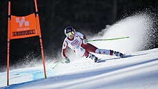 Rakouská ly�a�ka Cornelia Hütterová b�hem sjezdu Sv�tového poháru v Kvitfjellu.