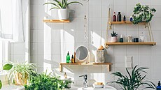 Kdo p�e�ije u vody, respektive va va�í koupeln�? Ideáln� v koupln� s okny? 