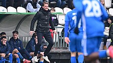 Trenér Radoslav Ková� z Liberce reaguje b�hem utkání s Bohemians.