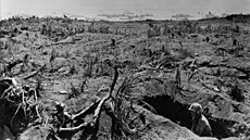 Snímek z bitvy o ostrov Iwod�ima (1945)