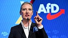 Alice Weidelová ve tábu AfD (23. února 2025)