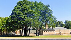 Koncentra�ní tábor Ravensbrück se nacházel u jezera Schwedt.