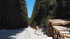 Po modré z Plucnarky do Podolánek (10. února 2025)