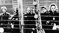 Nacistický koncentraní tábor Ravensbrück byl tábor urený pedevím pro enské...