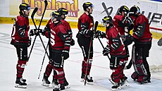 Hrá�i Sparty se radují z vít�zství nad Litvínovem.