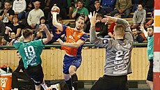 Momentka z extraligového utkání Plzn� proti Karviné.