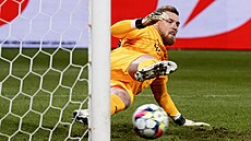 Branká Slavie Jindich Stank inkasuje z penalty bhem utkání proti Plzni.