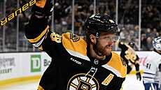 David Pastr�ák slaví branku proti Torontu.