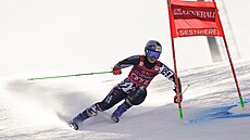 Alice Robinsonová b�hem ob�ího slalomu v Sestriere.