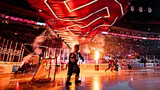 Momentka z domácího zápasu hokejové Sparty