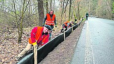 Nechcete vid�t na silnicích �abí zájezdy? Sta�te se sb�ra�i �ab.