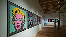 Výstava itý sen Andyho Warhola v Goárov galerii v Pardubicích potrvá do 27....