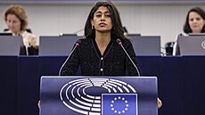 Francouzká europoslankyn� Rima Hassanová.