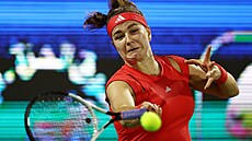 Karolína Muchová v semifinále na turnaji v Dubaji