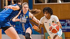 Shaina Pellingtonová (vpravo) z Trutnova úto�í v zápase s LOH 2028 Chomutov,...