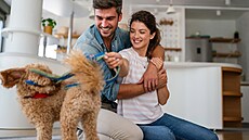 Máme právo na psa v byt�? Ano, ale rad�ji o n�m pronajímatele informujte.