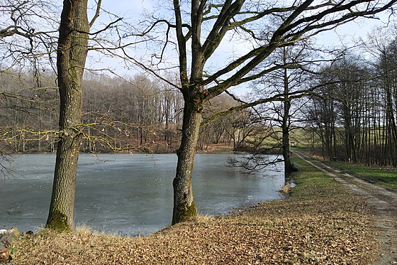 Myslívský rybník