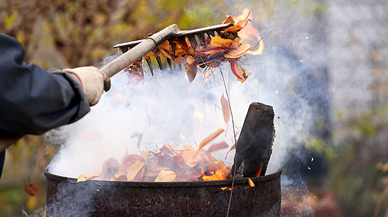 ilustra�ní snímek